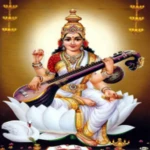 Logo of Maa Saraswati All in one android Application 